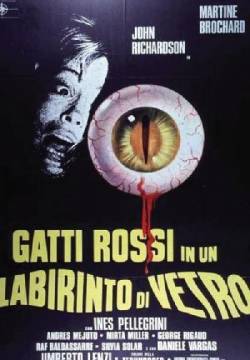 Gatti rossi in un labirinto di vetro Gatti rossi in un labirinto di vetro