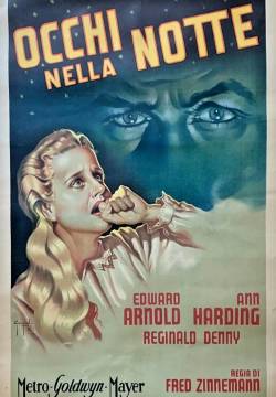 Occhi nella notte Occhi nella notte