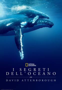 I Segreti Dell’oceano con David Attenborough I Segreti Dell’oceano con David Attenborough