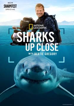 Sharks Up Close with Bertie Gregory Sharks Up Close with Bertie Gregory