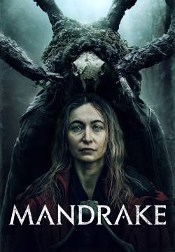 Mandrake Mandrake